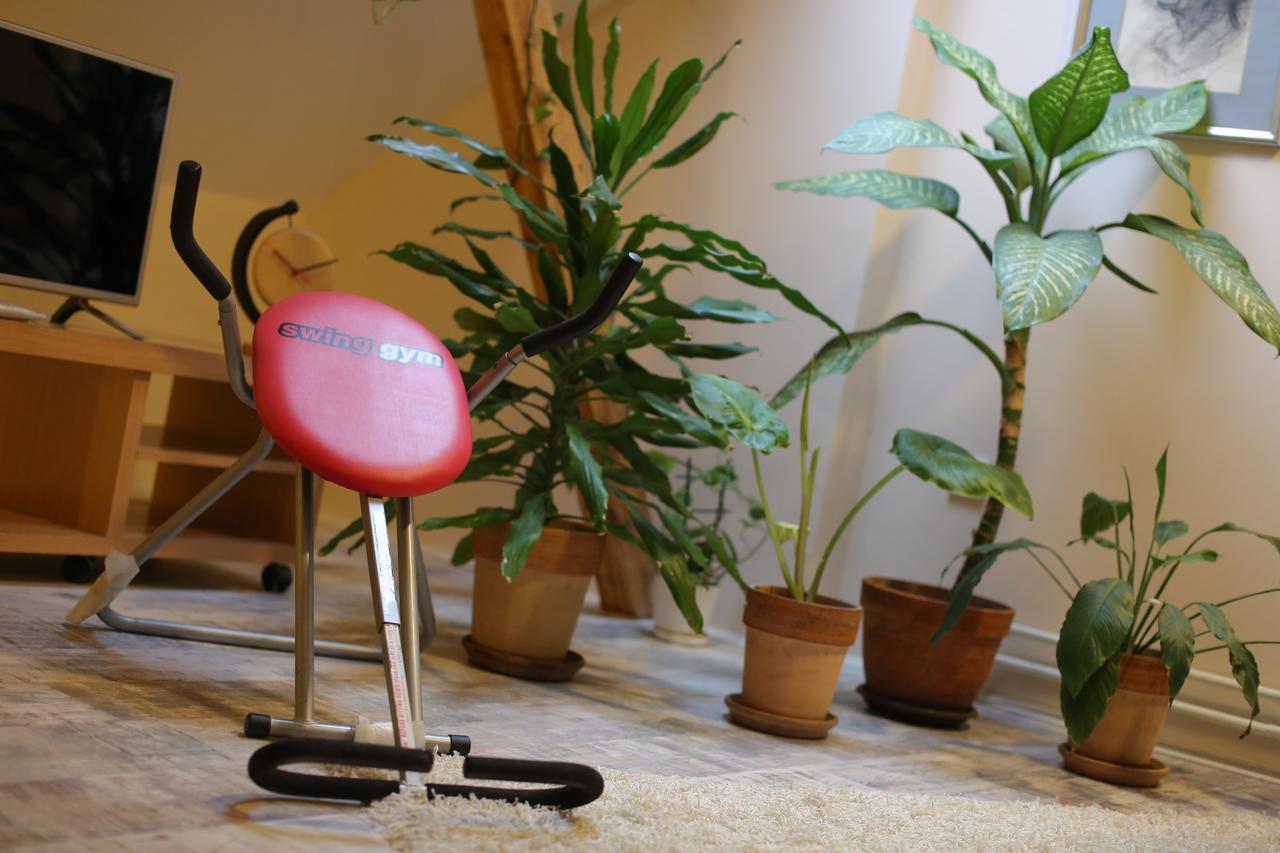 Magic Apartament